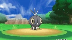 Screenshot for Pokémon X and Y - click to enlarge
